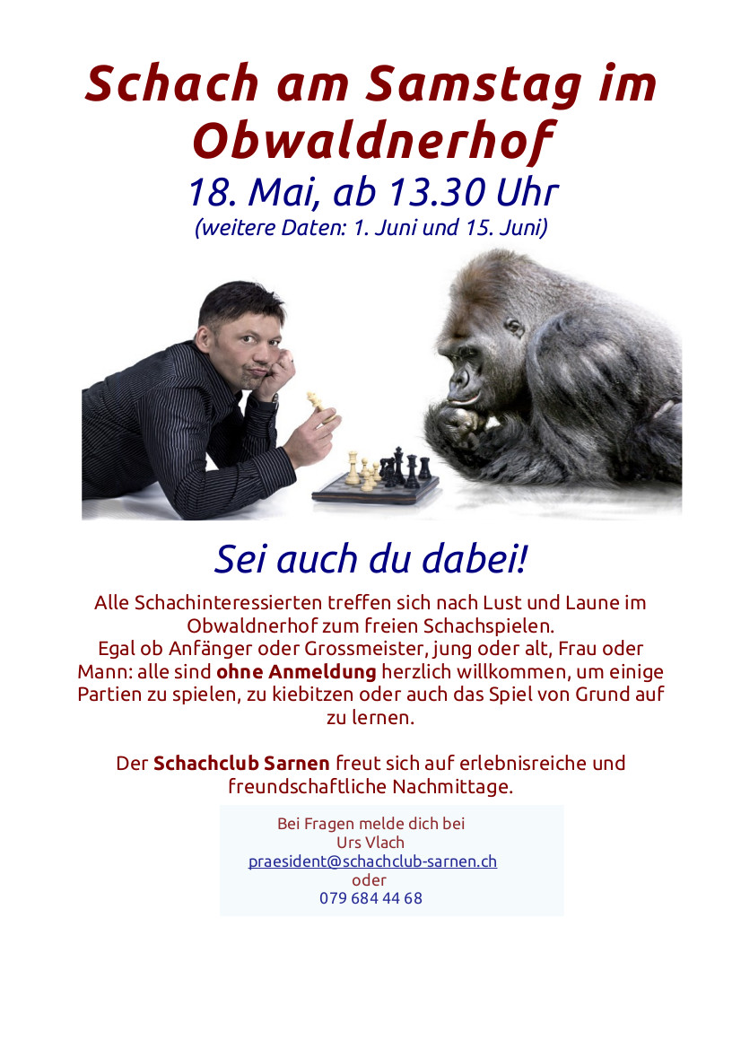 schach am samstag